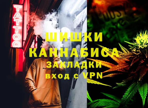 эйфоретик Алзамай
